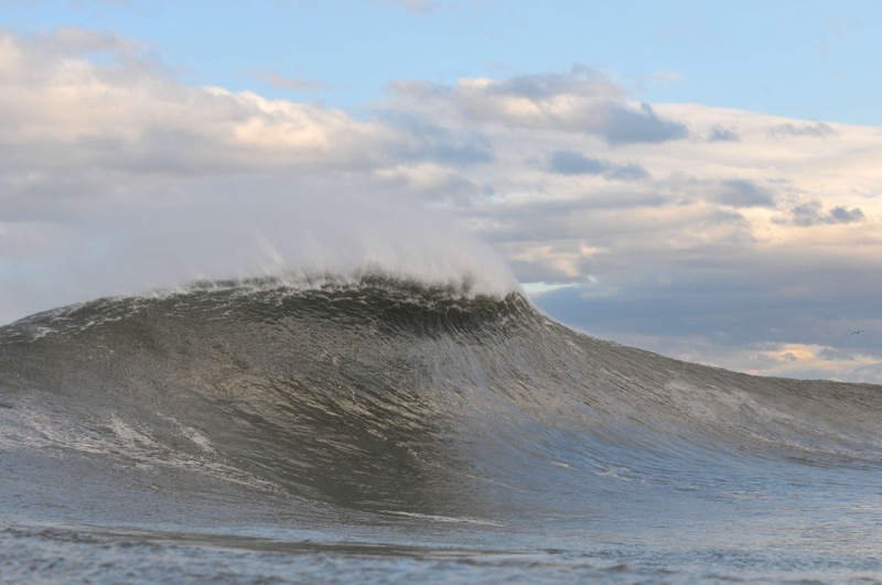 th_DSC_7053