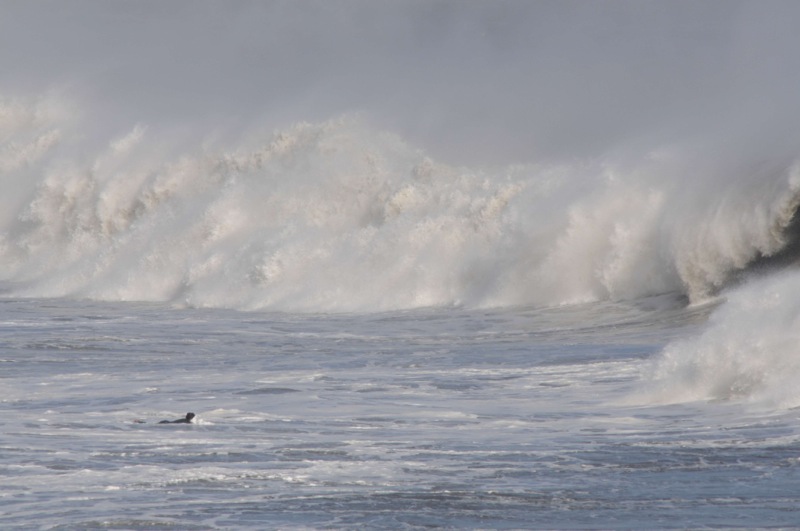 th_DSC_8872