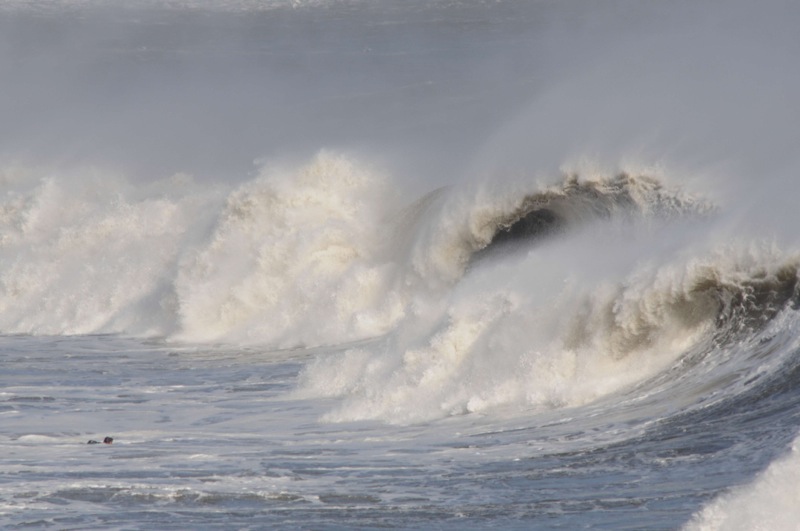 th_DSC_8873