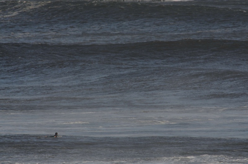 th_DSC_8876