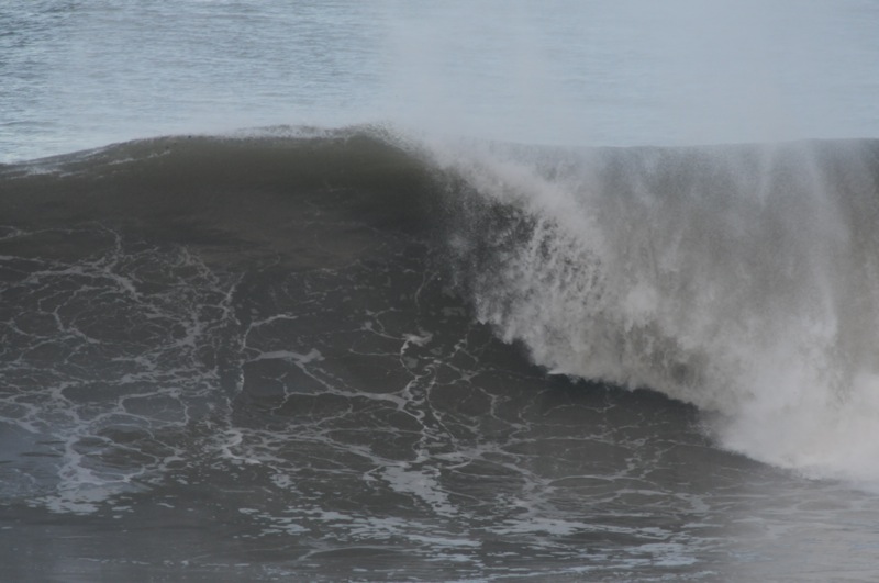 th_DSC_9083