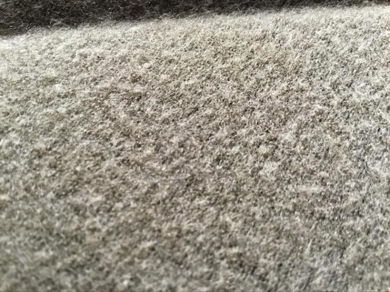接写すると絨毯に見える。このモコモコを水がスルスルッと流れ落ちてゆくので濡れない。