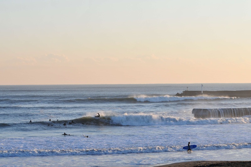 th_DSC_5187