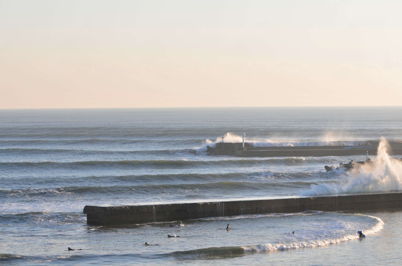 th_DSC_5282