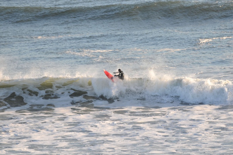 th_DSC_5334