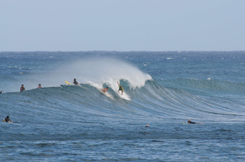 th_DSC_6487