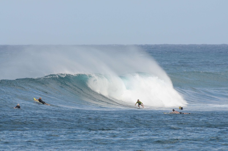 th_DSC_6490