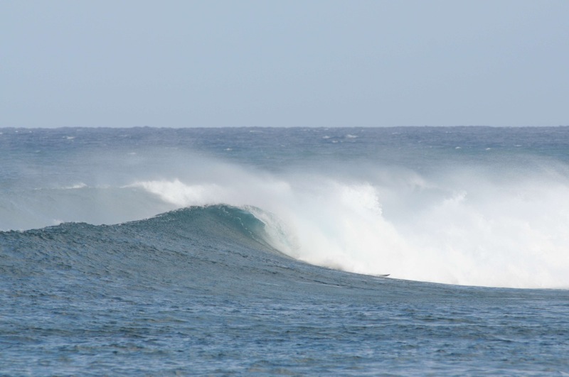 th_DSC_6499