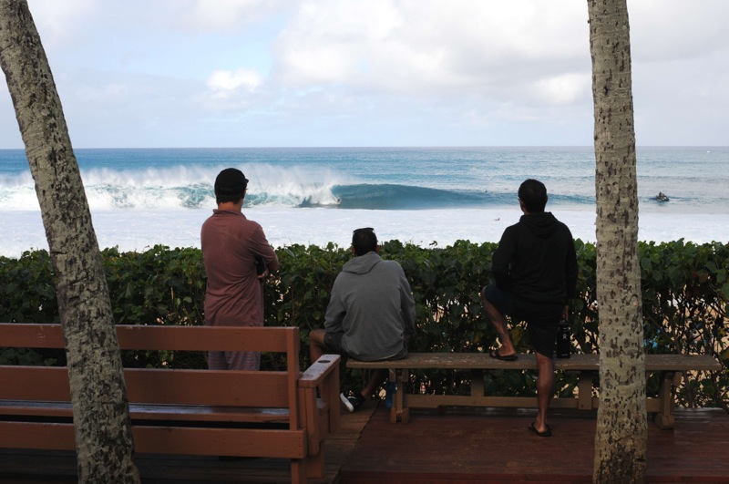 th_DSC_6645