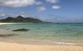 IMG_0520