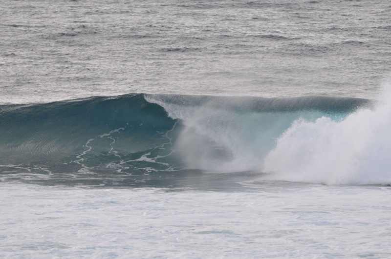 th_DSC_3726