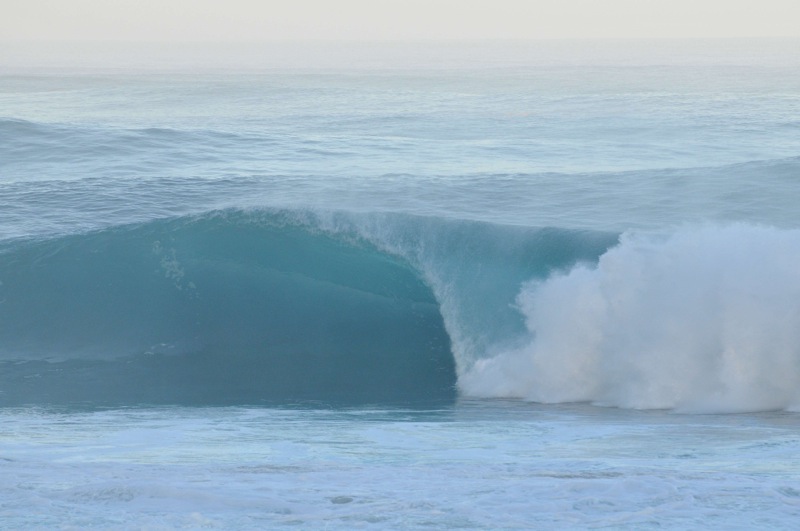 th_DSC_7661
