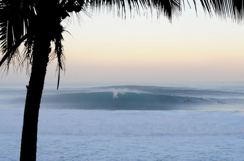 th_DSC_8418