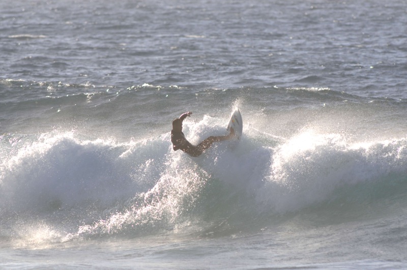 th_DSC_2945