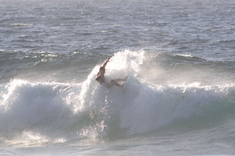 th_DSC_2946