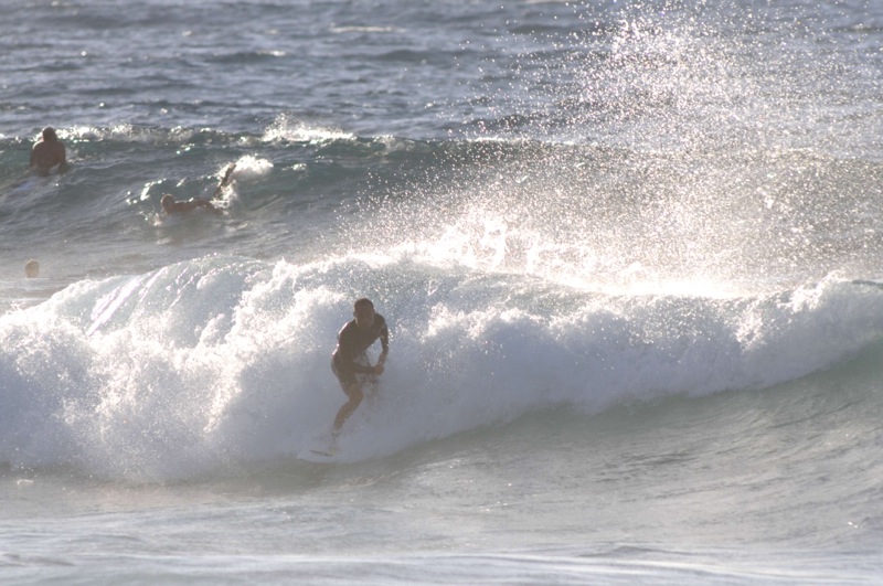 th_DSC_2950
