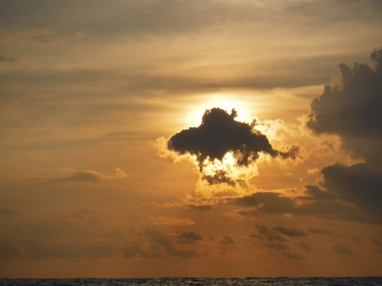 お魚雲!?も見れました