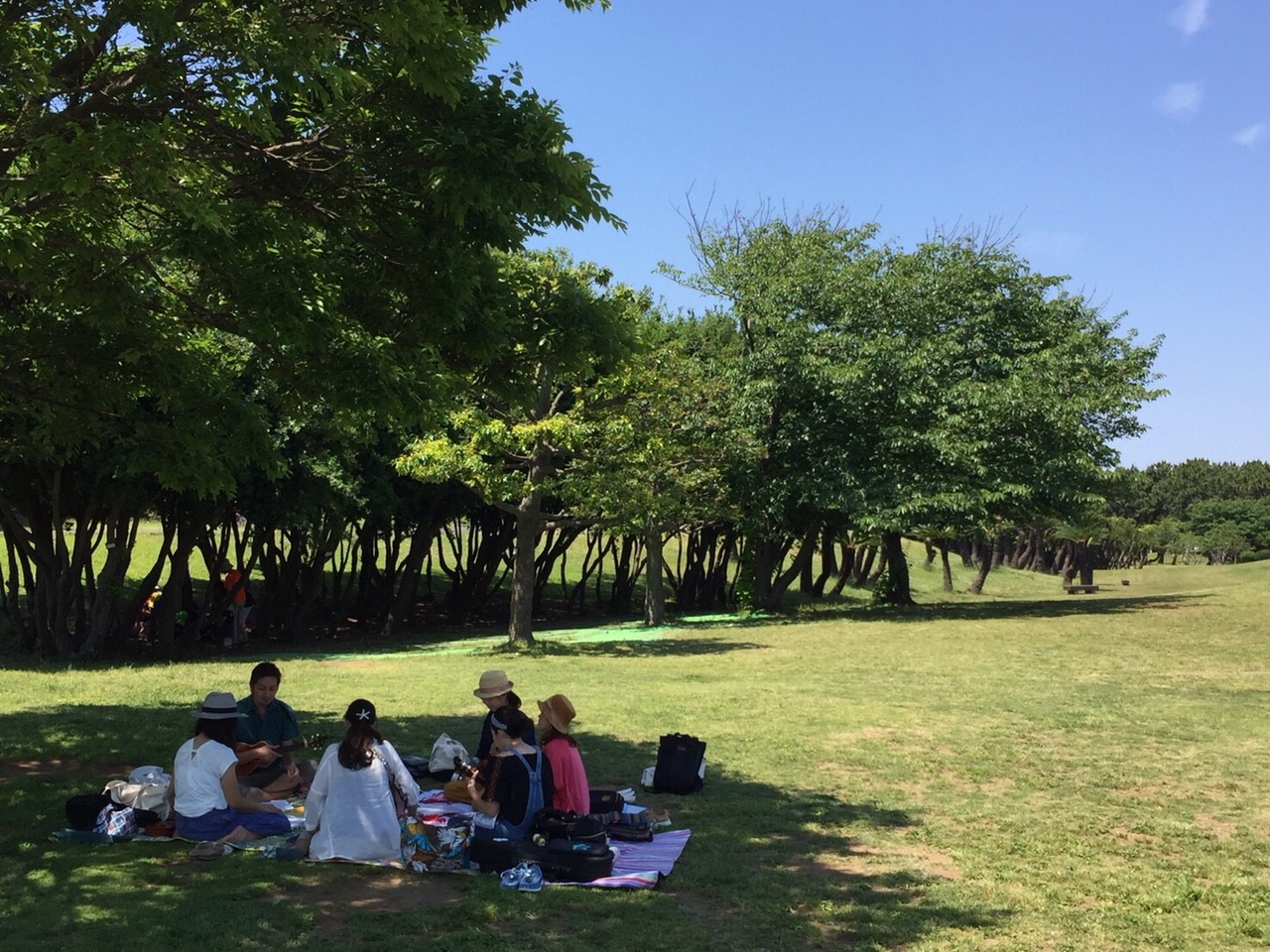 天気の良い日に公園でウクレレタイム