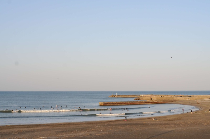 th_DSC_6584