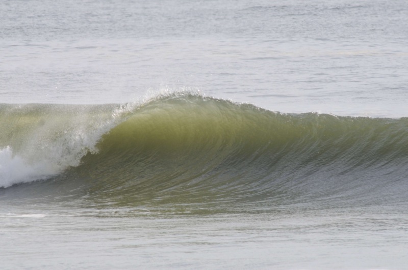 th_DSC_6672