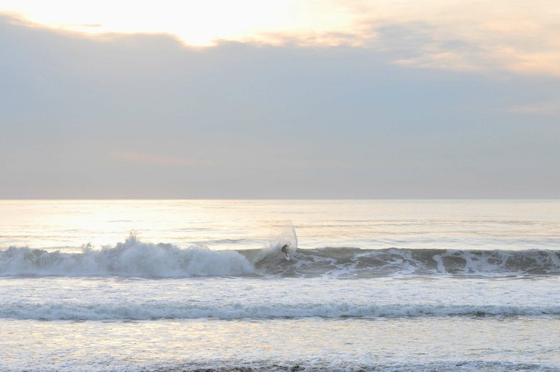 th_DSC_6978
