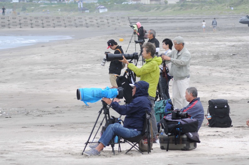 th_DSC_7215