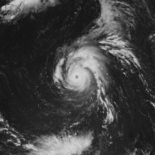 7月8日正午の画像 中心気圧925hPa　進行方向　北西　速度15km/h　 強風域　北東側３９０km以内と南西側２８０km以内