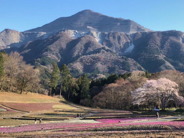 「武甲山との景色を望む」 