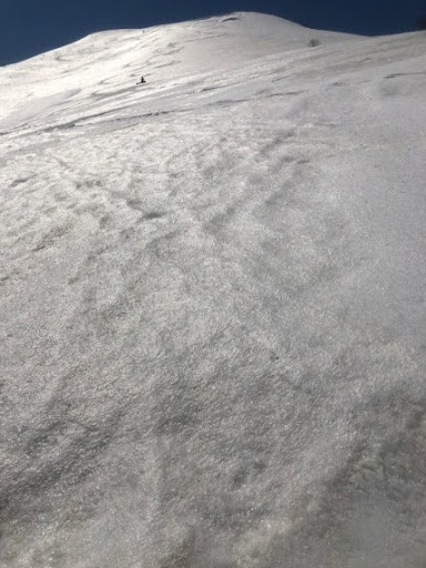 群馬県へのスノボはスクランブルキャンセルしたものの、翌週に行ったニセコアンヌプリ山BCではフィルムクラフトの雪を満喫して滑ることができました