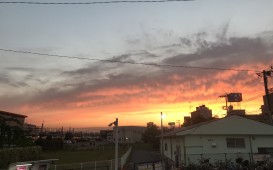 IMG_2908