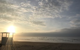 IMG_6769