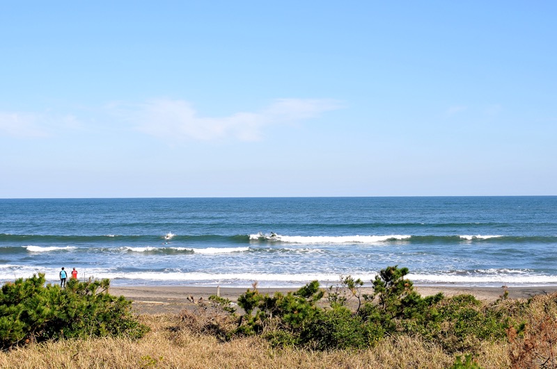 th_DSC_7778_01