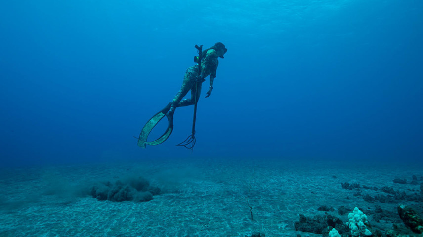 ハワイのある漁場で夕食の魚を捕獲するキミ・ワーナー/WSL / Justin Turkowski