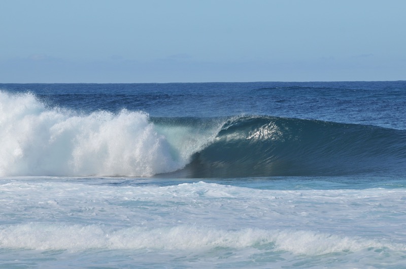 th_DSC_8681_01