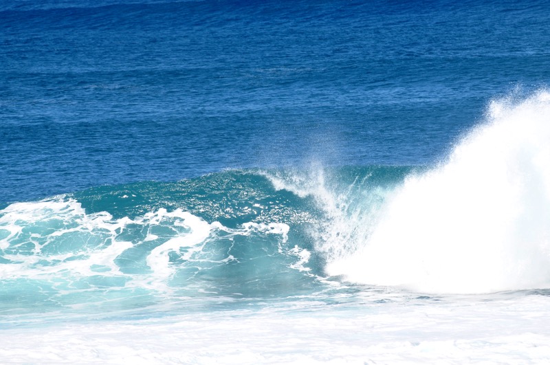 th_DSC_8976_01