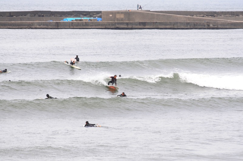 th_DSC_0808_01