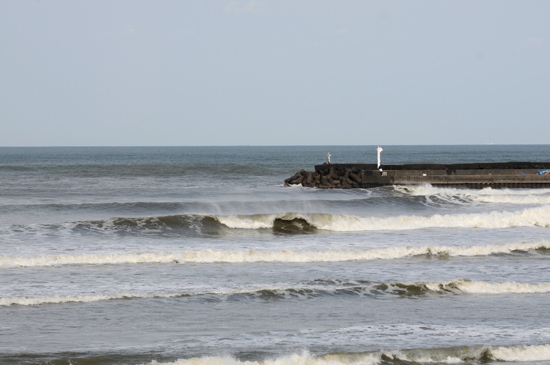 th_DSC_9265_01