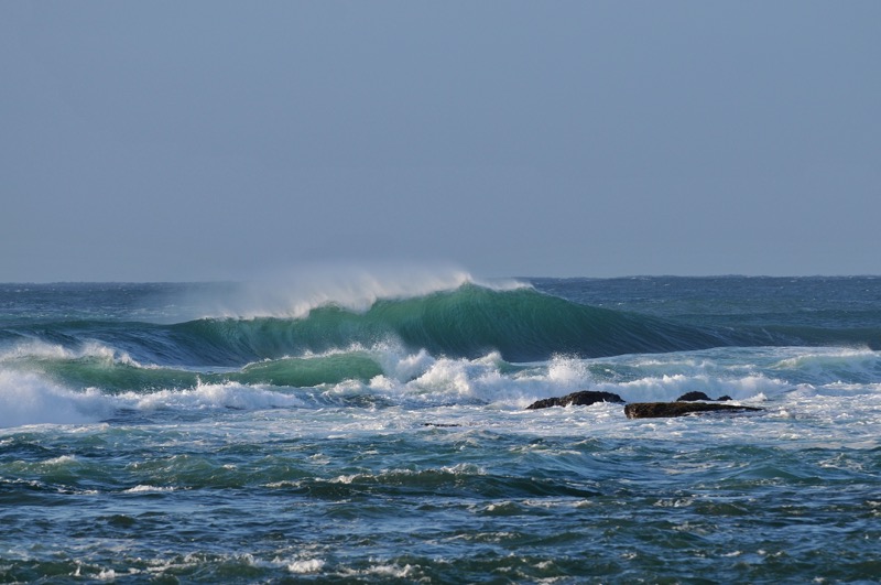 th_DSC_4586_01