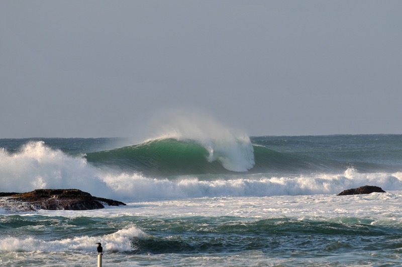 th_DSC_4595_01