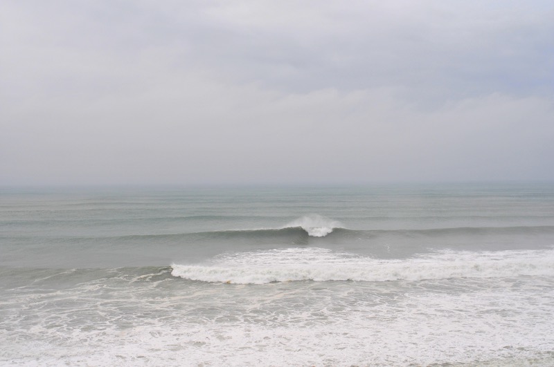 th_DSC_5396_01