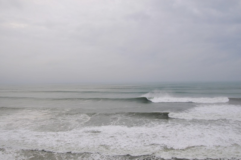 th_DSC_5425_01