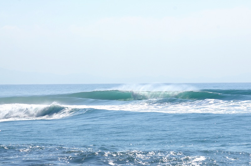 th_DSC_1630_01