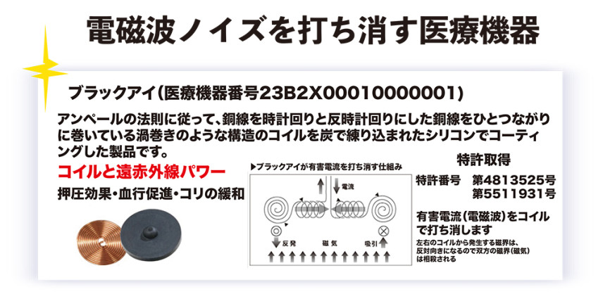 電磁波ブラックアイ