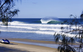 SthStradbroke_AGSS_WSL_SHIELD2566.jpg_max