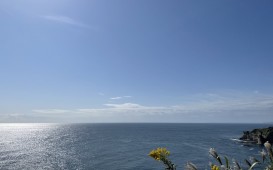 IMG_0036