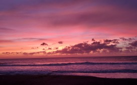 20200918_050611 (1)