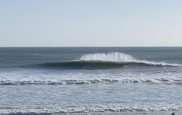 IMG-1589