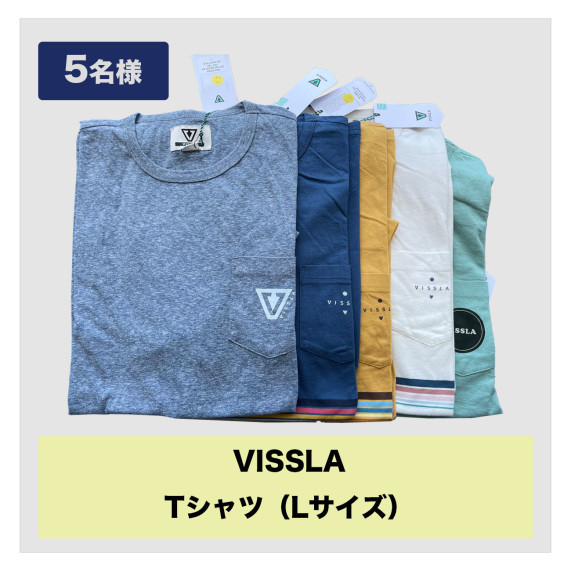 vissla