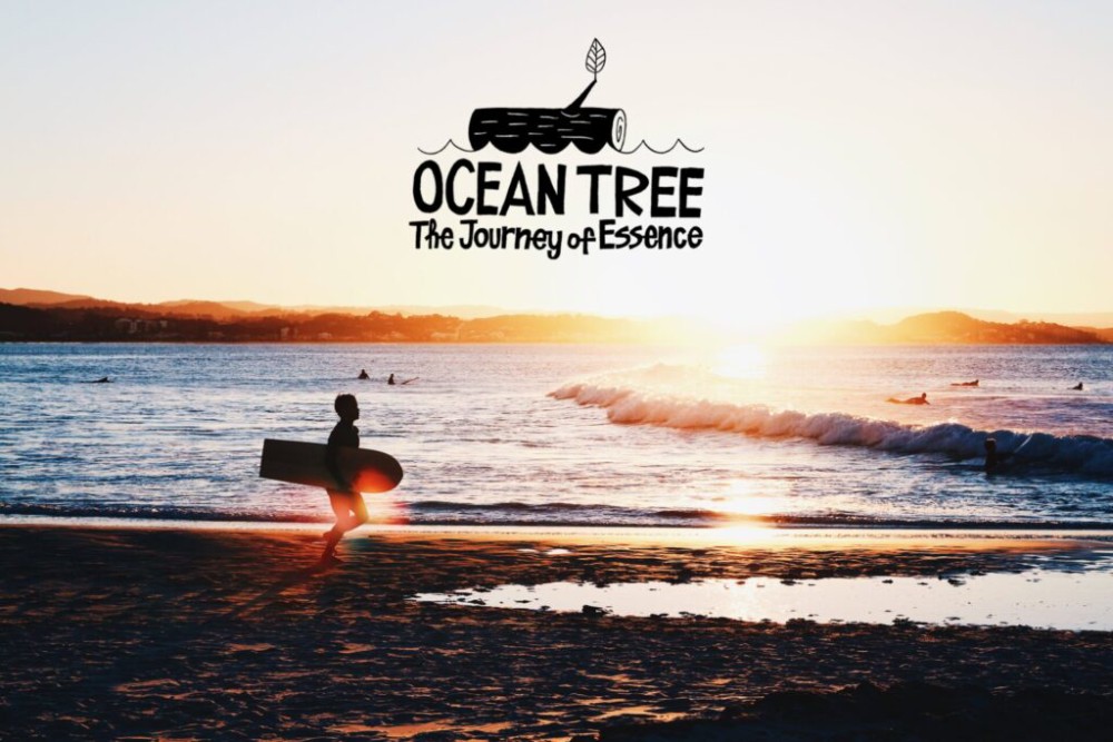 OCEANTREE第二弾_サムネイル