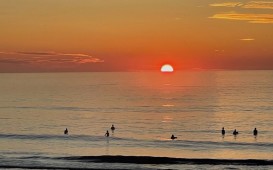 IMG_2211